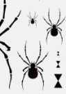Трафарет Spider